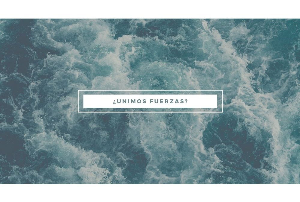 Gestión de redes sociales.